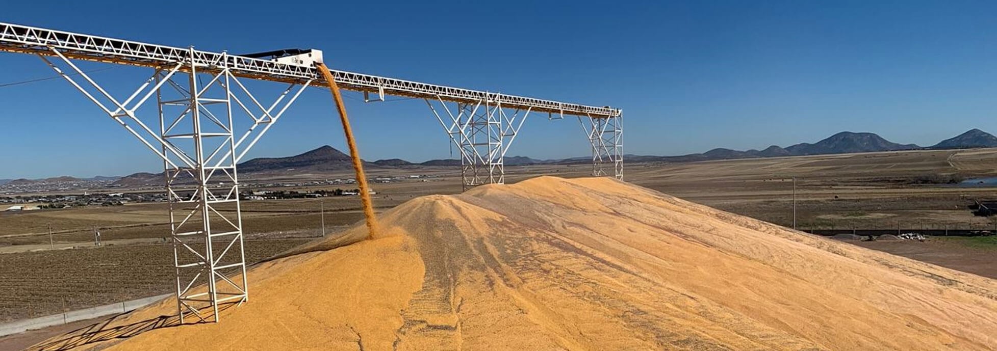 Tripper Conveyor